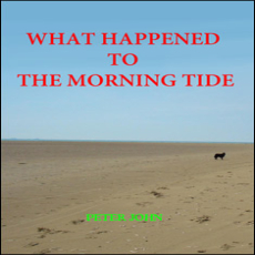 Morning Tide Morning Tide